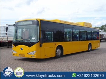 Mestský autobus BYD EBUS 12 GREENCITY full electric: obrázok 1