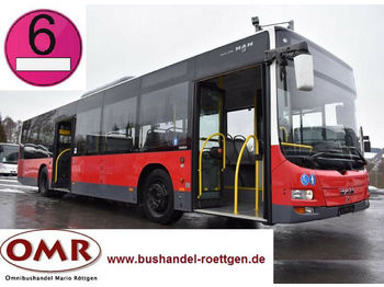 Mestský autobus MAN A21 / Lion's City / 530 / Citaro / Euro 6: obrázok 1