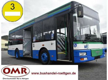 Mestský autobus MAN A 76 / A 47 / A 66 / O 530 / Midi: obrázok 1