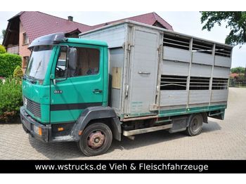 Přepravník zvířat na prepravu zvieratá Mercedes-Benz 814 mit Kaba Aufbau: obrázok 1