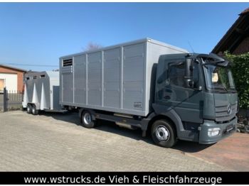 Přepravník zvířat na prepravu zvieratá Mercedes-Benz 821L" Neu" WST Edition" Menke Einstock Vollalu: obrázok 1