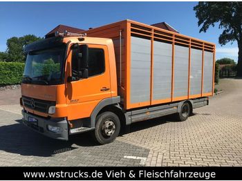Přepravník zvířat na prepravu zvieratá Mercedes-Benz 822 L  mit Eckstein Einstock: obrázok 1