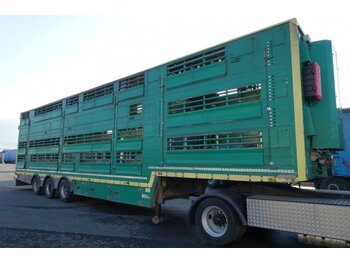  Pezzaioli SBA32/U, 3 Stock , Viehtransporter  , Tränkeranlage, - Náves na přepravu zvířat
